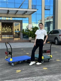 明威平板手推车电动定做