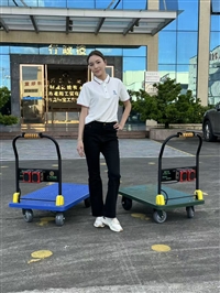 明威mw电动手推车平板车哪家好