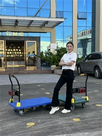 明威平板电动手推车定制