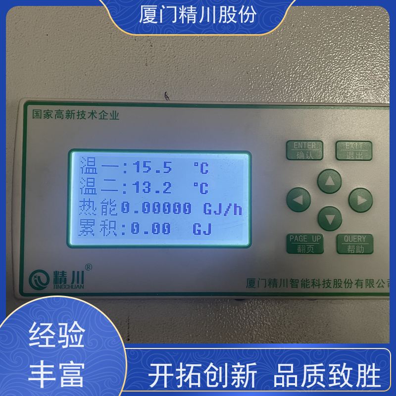 精川股份 合成革厂 导热油炉流量计 精度高 品质可靠