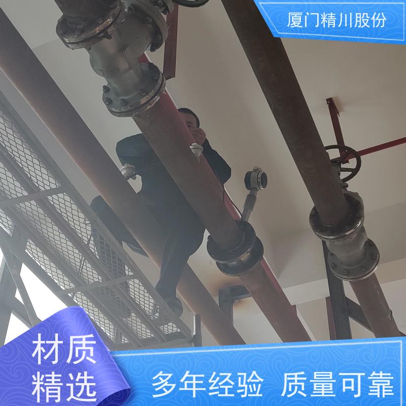 精川股份 合成革厂 导热油炉流量计 精度高 现场案例多