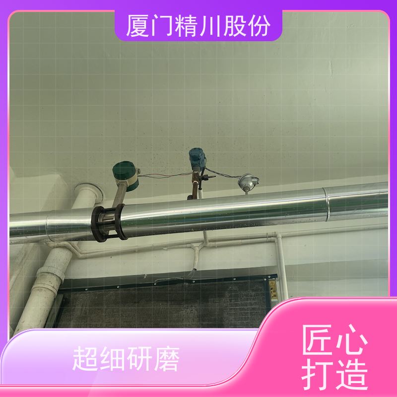 精川股份 人造革厂 压缩空气流量计 测量精度高 维护量少