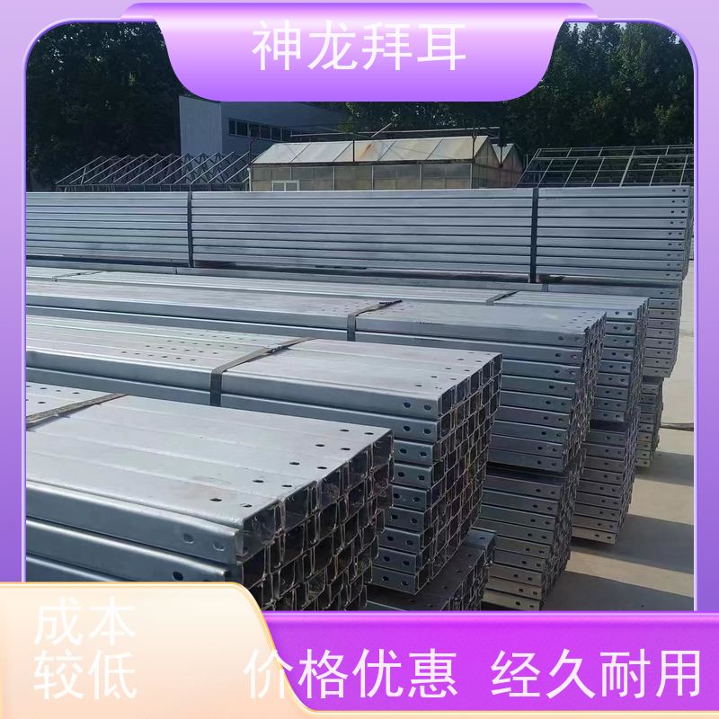 河北神龙拜耳 镀锌铝镁板光伏支架 稳定可靠 厂商