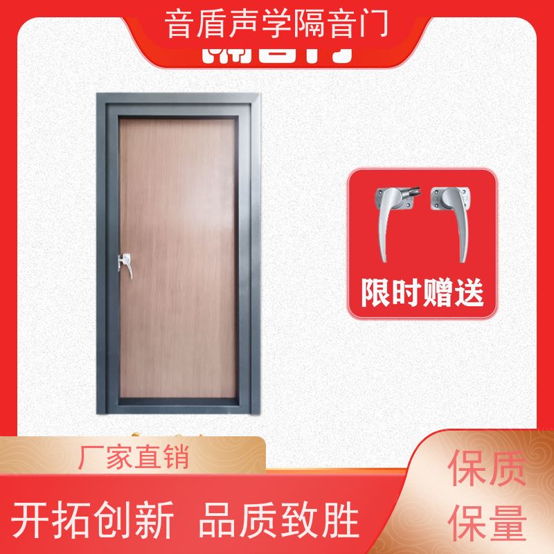 湖北省 音盾星图 钢质木纹 防火隔音门 源头工厂