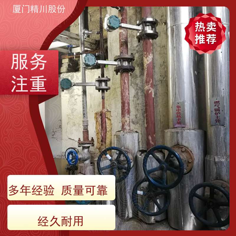 精川股份 合成革厂 锅炉蒸汽流量计 一体式温压补偿 应用广泛
