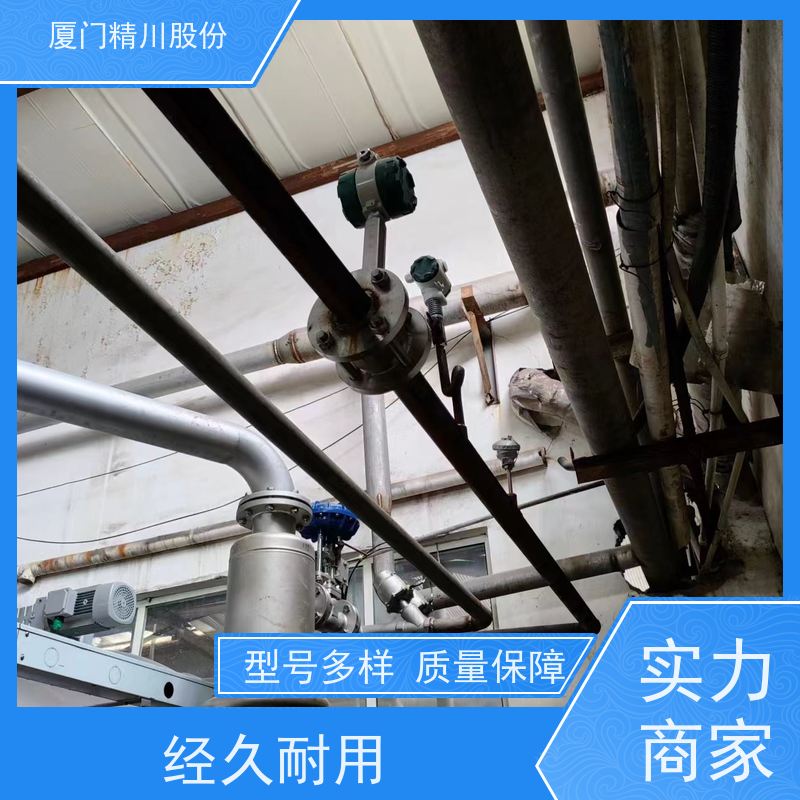 精川股份 合成革厂 蒸汽涡街流量计 抗震性能好 真实应用案例多