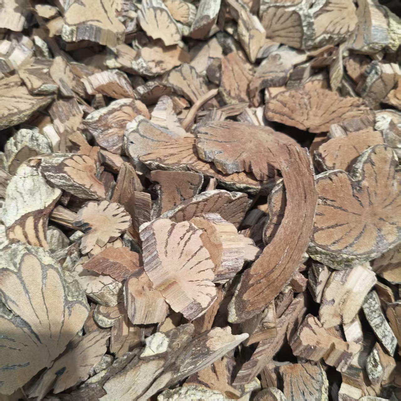 产地直售 盾翅藤 鸢尾根 茉莉花 当年新货 无硫 品质好