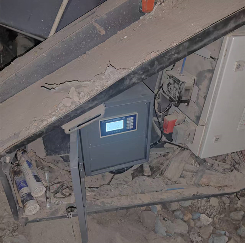 长春防爆皮带秤生产厂家