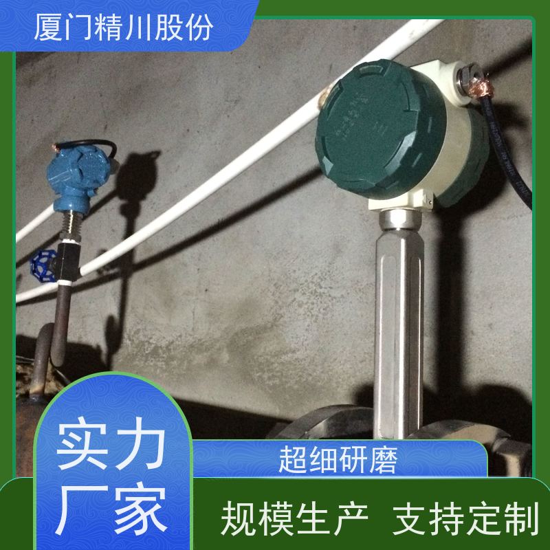 精川股份 包装厂 蒸汽流量计 工作时间长 应用广泛