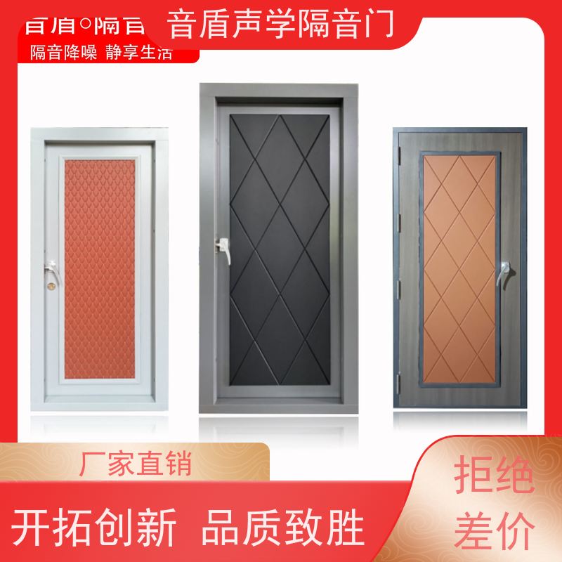 海南省 音盾声学 钢琴房 静音门 大型定制工厂