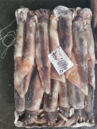 回收各类过期、临期海鲜水产，收购各种螃蟹大虾