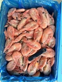 高价回收各类临期海鱼、大量收过期库存冻鱼、带鱼、黄花鱼