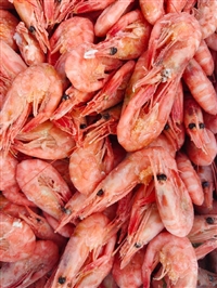 长期大量回收海鱼，收购过期临期海鲜水产，国产进口冻品虾类