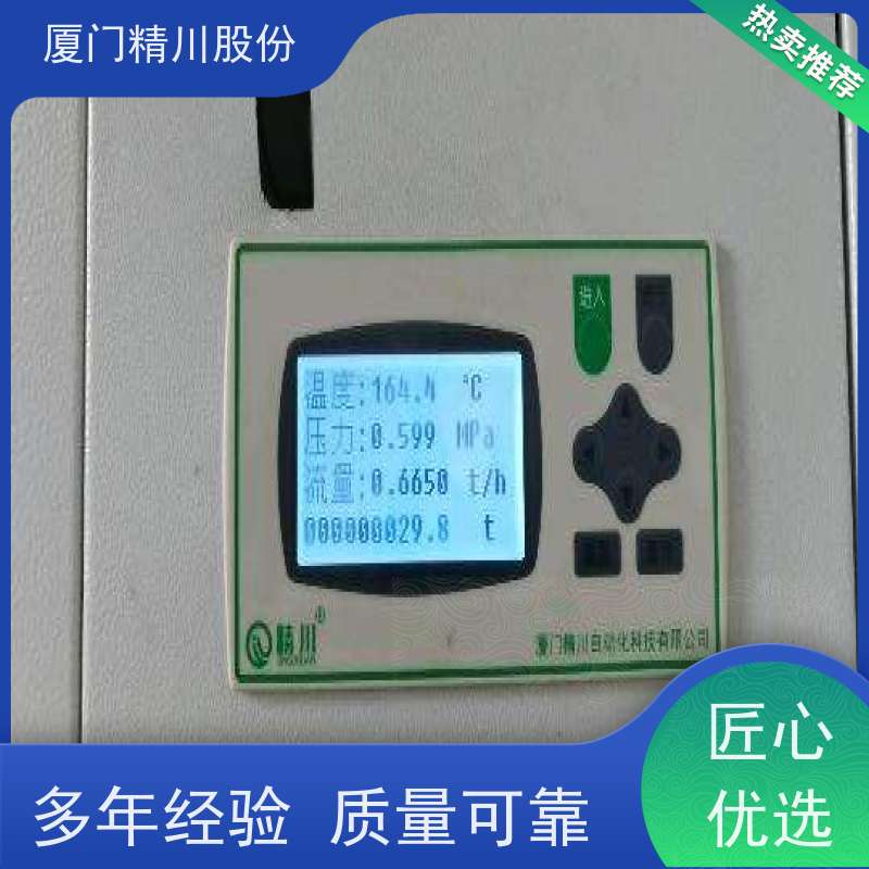 精川股份 合成革厂 锅炉蒸汽流量计 抗震性能好 维护量少