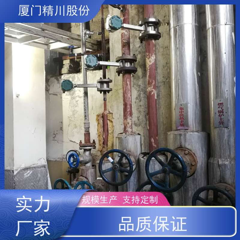 精川股份 合成革厂 蒸汽流量计 可耐温350度 源头生产厂家