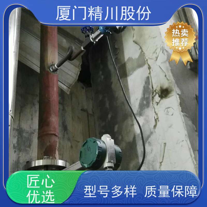 精川股份 合成革厂 气体涡街流量计 一体式温压补偿 支持免费选型