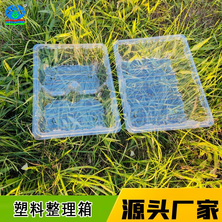 装西点裂巴蛋糕桃酥包装盒整理箱周转箱 PET材质长方形透明盒