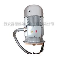 1637000212，1637000712阿特拉斯空压机真空泵电机22KW