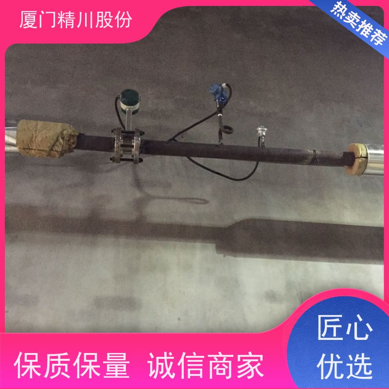 精川股份 合成革厂 涡街流量计 分体式温压补偿 应用广泛