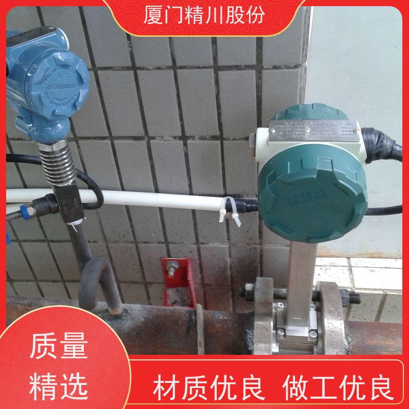 精川股份 制革厂 蒸汽流量计 抗震性能好 支持免费选型