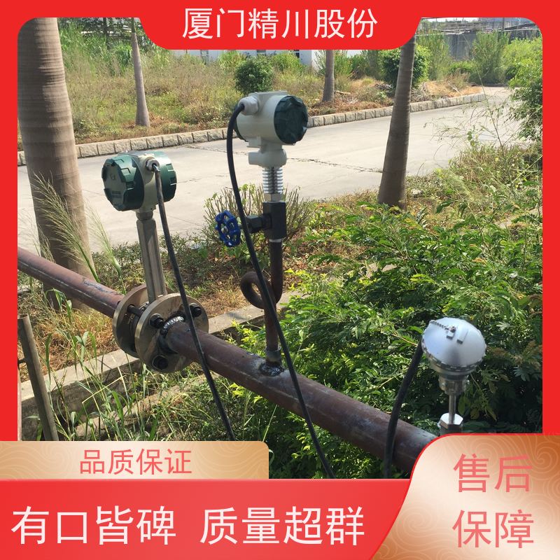 精川股份 合成革厂 蒸汽流量计 一体式温压补偿 支持免费选型