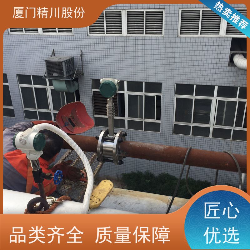 精川股份 合成革厂 压缩空气流量计 分体式温压补偿 应用广泛