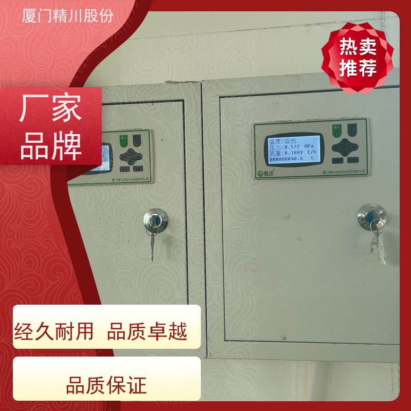 精川股份 合成革厂 蒸汽流量计 分体式温压补偿 支持免费选型