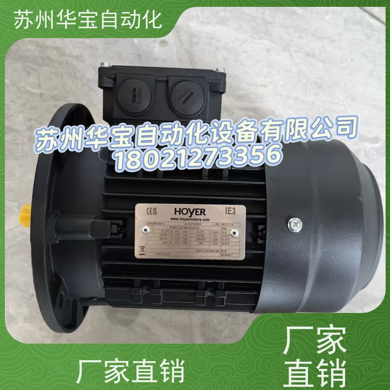 丹麦霍尔HOYER电机原厂HMA3-90L-2全新原装