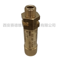 2200950774阿特拉斯空压机配件安全阀