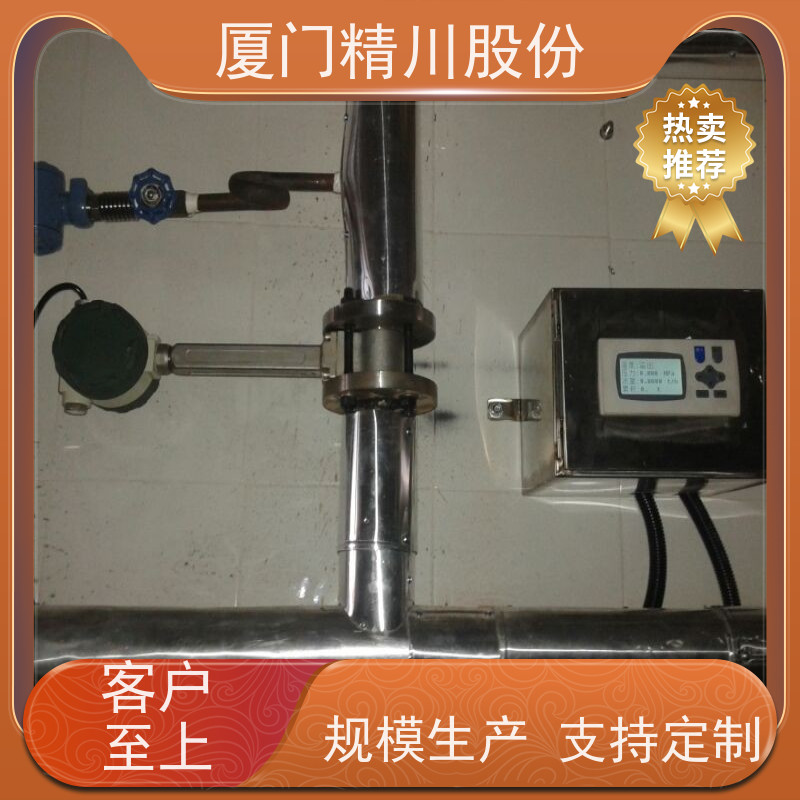 精川股份 合成革厂 气体涡街流量计 分体式温压补偿 支持免费选型