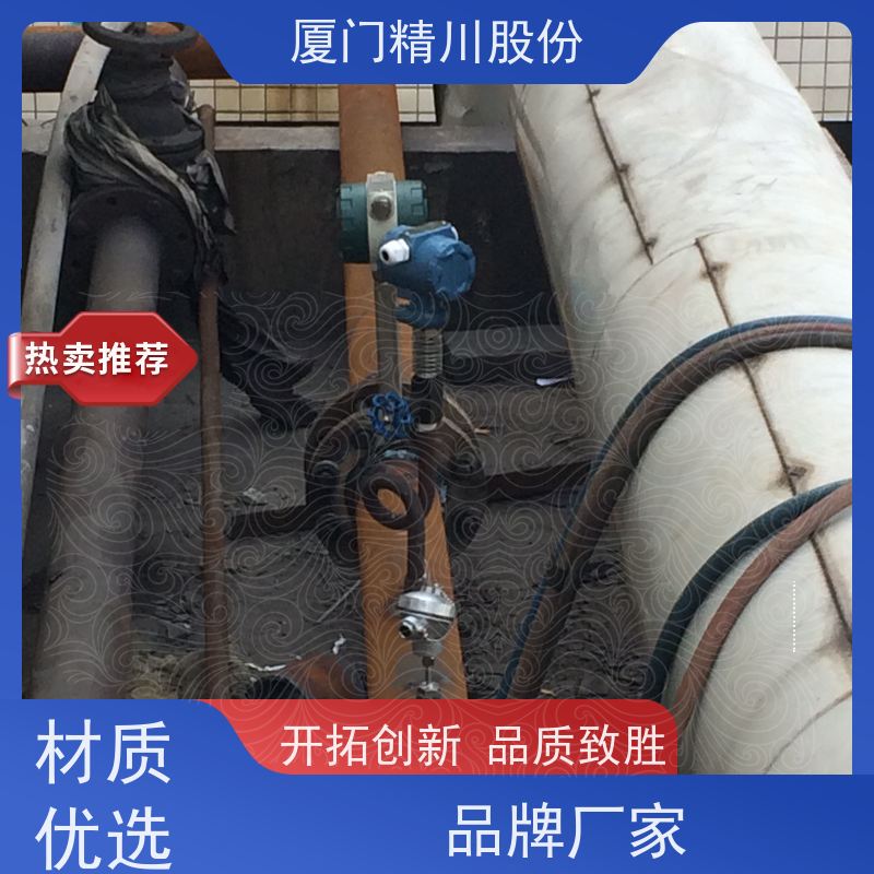 精川股份 包装厂 锅炉蒸汽流量计 工作时间长 应用广泛