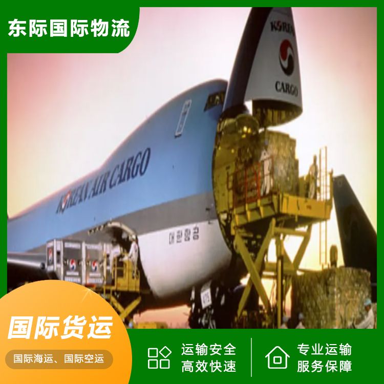 东际物流 深圳海运到新西兰 家电国际运输 渠道稳定 持续优惠