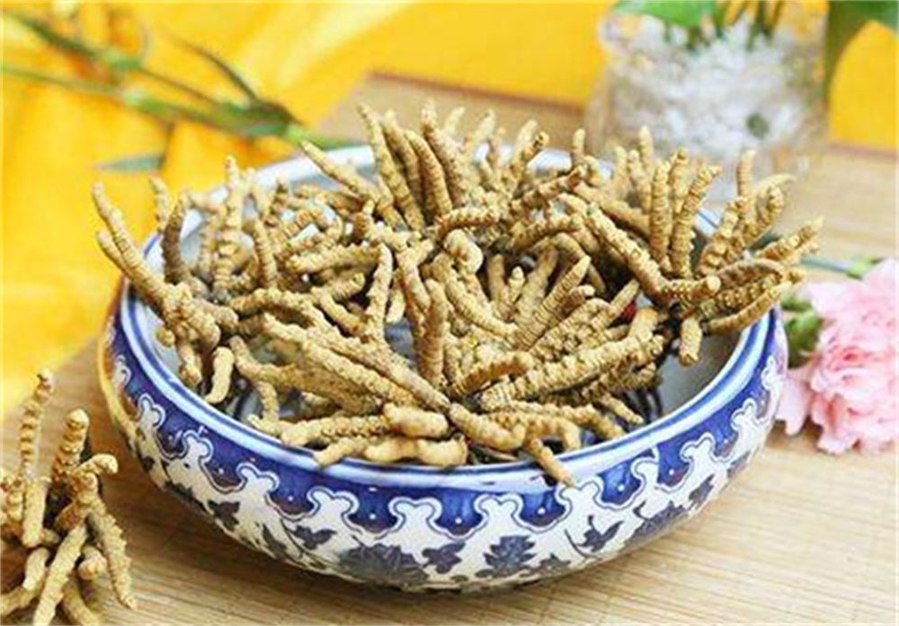 四会 收购冬虫夏草  冬虫夏草收购 商家  诚信经营