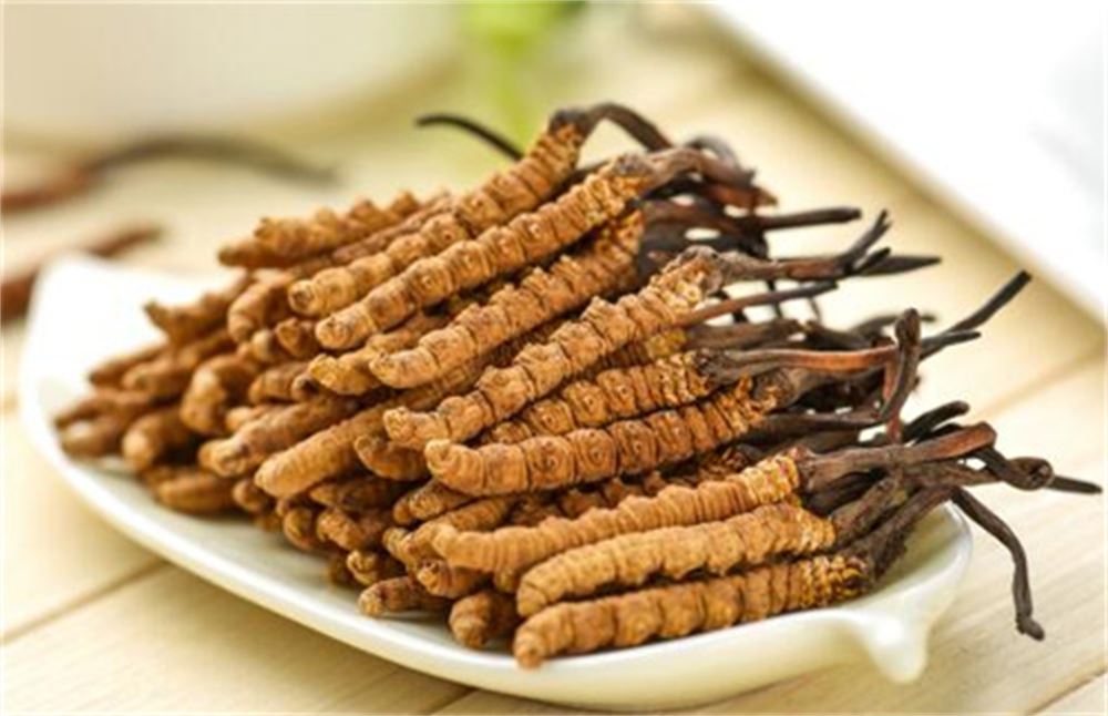 罗定 哪里回收虫草  冬虫夏草收购 商家  正规经营