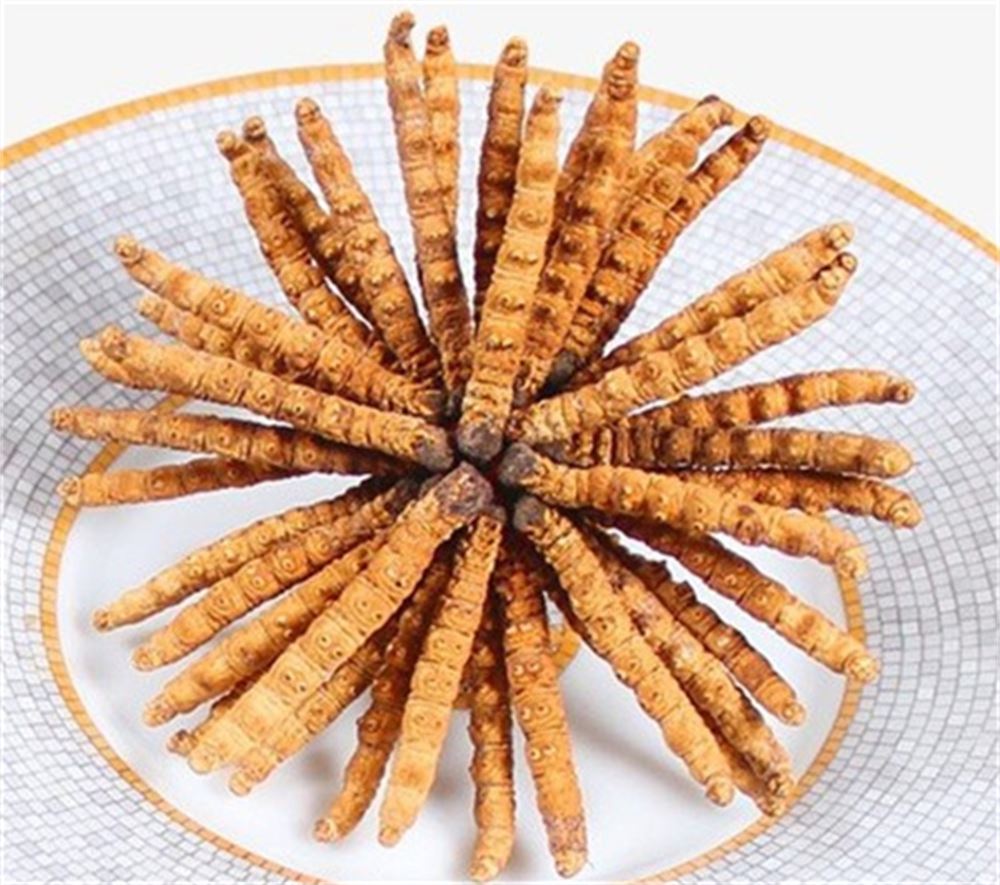 榕城 回收冬虫夏草  冬虫夏草回收 多少钱一克  安全可靠