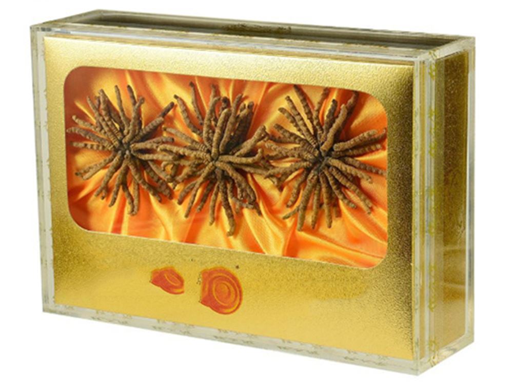 南海 回收散装虫草  冬虫夏草收购 价格  现场结算