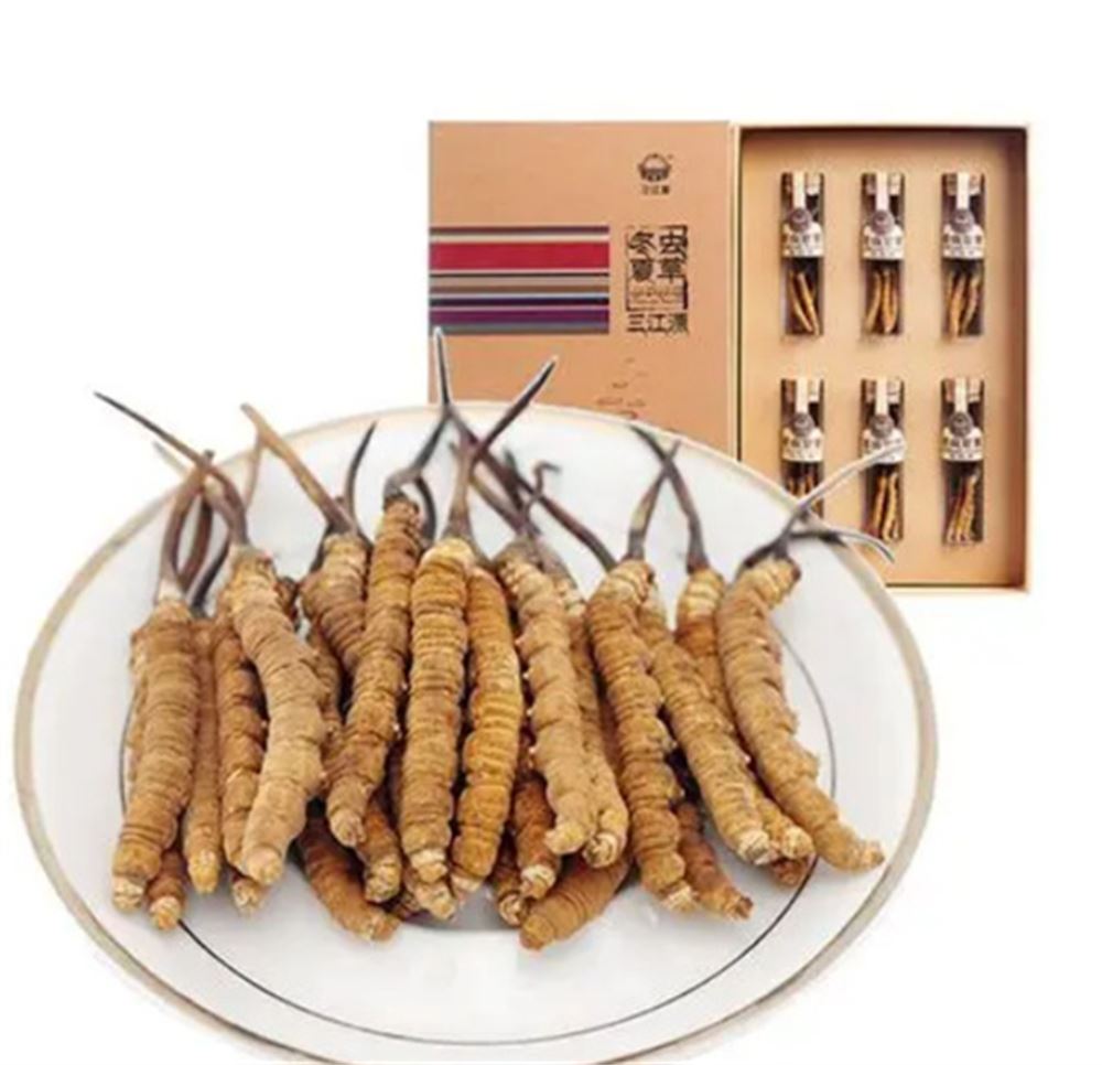 端州 回收冬虫夏草  冬虫夏草收购 价格评估  诚信回收