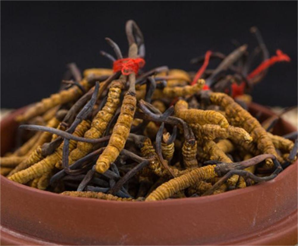 越秀 回收冬虫夏草  虫草回收 联系方式  高价回收