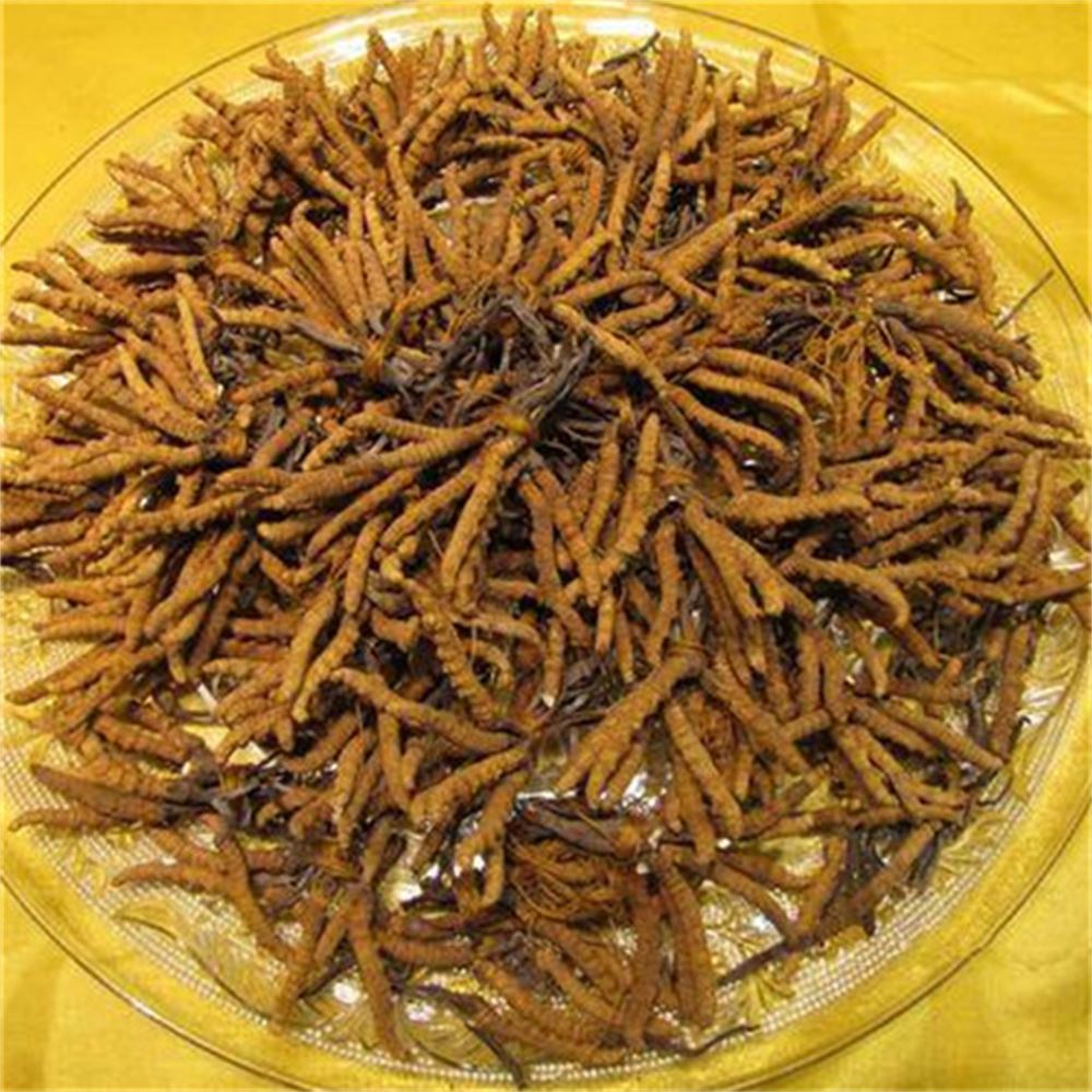 东城 收购散装虫草  冬虫夏草收购 电话  诚信经营