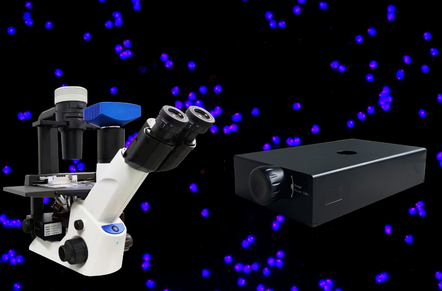 供应倒置荧光模块BGU-LED-IMH