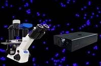 供应倒置荧光模块BGU-LED-IMH