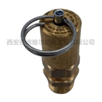 2202721501柳泰克富达空压机配件安全阀