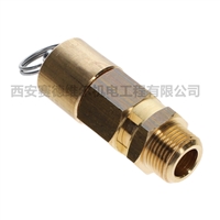 2202889103阿特拉斯空压机配件安全阀