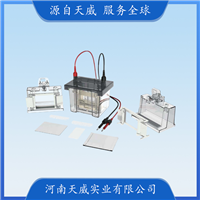 TW-DL-Mini01垂直电泳槽 实验室蛋白分离电泳仪 同时电泳两块胶板