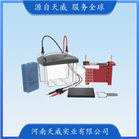 TW-DL-ZY04小型转印电泳槽 实验室迷你凝胶 蛋白转印电泳仪