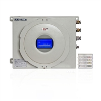 防爆红外线气体分析仪 型号： GXH-510Ex