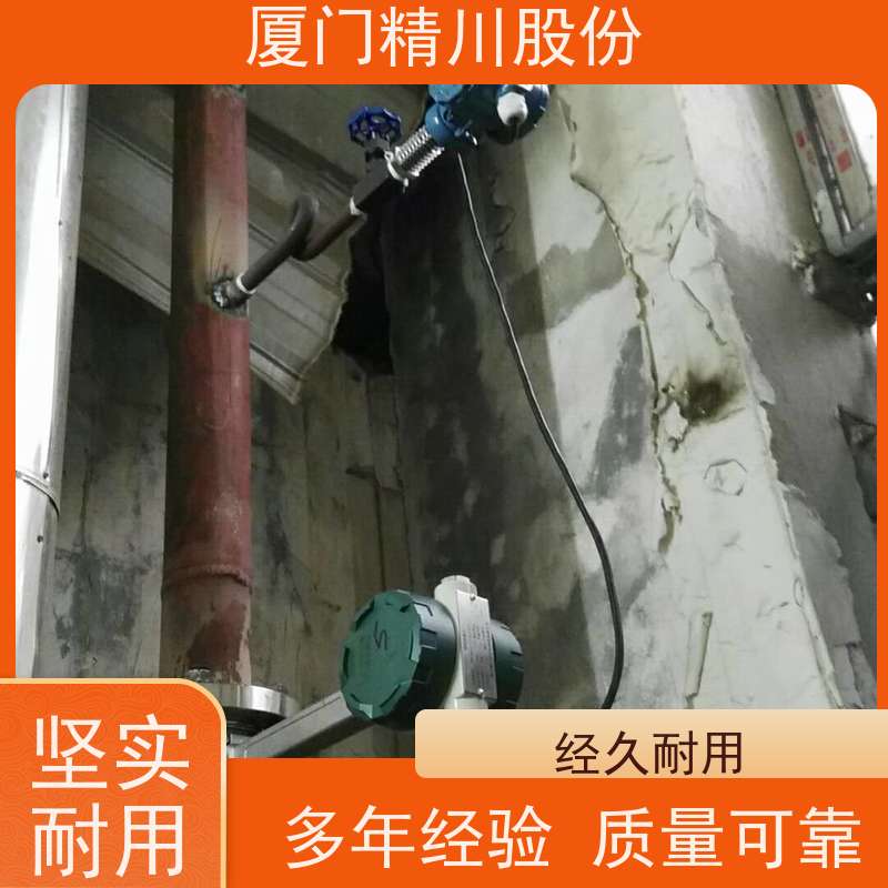 精川股份 合成革厂 锅炉蒸汽流量计 分体式温压补偿 应用广泛