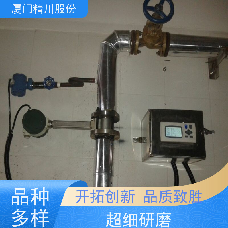 精川股份 合成革厂 饱和蒸汽流量计 可耐温350度 应用广泛