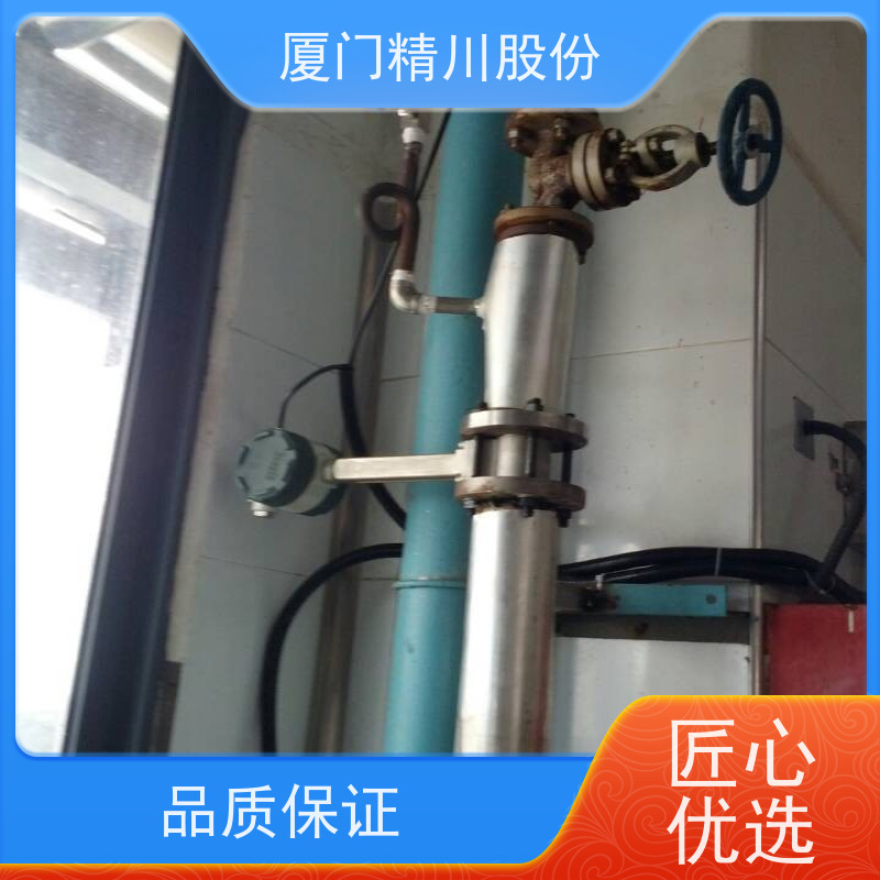 精川股份 合成革厂 压缩空气流量计 一体式温压补偿 支持免费选型