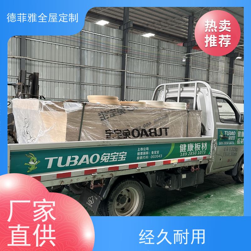 德菲雅 各类品牌板材定制 源头工厂 现代极简出租房储物衣橱